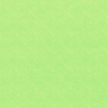 0000111112067